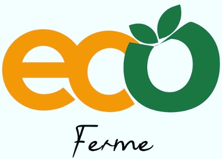 Market Partner